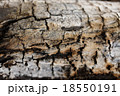 燃焼 燃える 燃やす 18550191