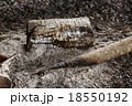 燃焼 燃える 燃やす 18550192