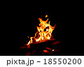 炎 ほのお 火 18550200