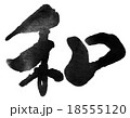 筆文字　和 18555120