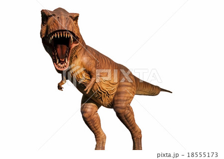 tyrannosaurus tyrannosaurus 18555173