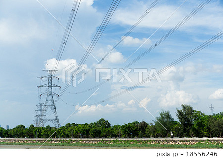Power lines 18556246