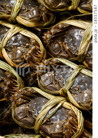 Fresh hairy Crab Fresh hairy Crab 18557587