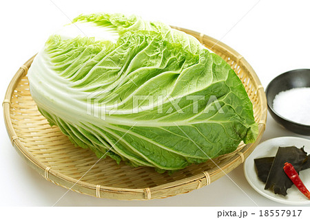 白菜の漬け物下ごしらえ1 白菜の漬け物下ごしらえ1 18557917