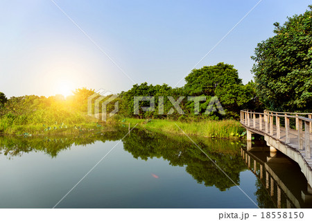 Beautiful sunlight with lake 18558150