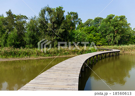 Walkway over the lake 18560613