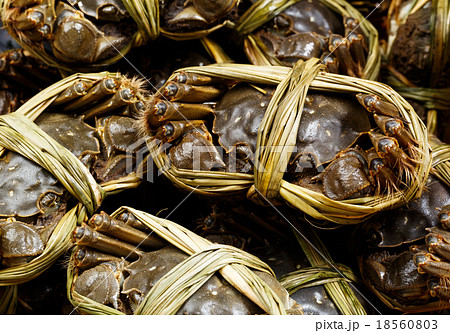 Chinese hairy crabs Chinese hairy crabs 18560803