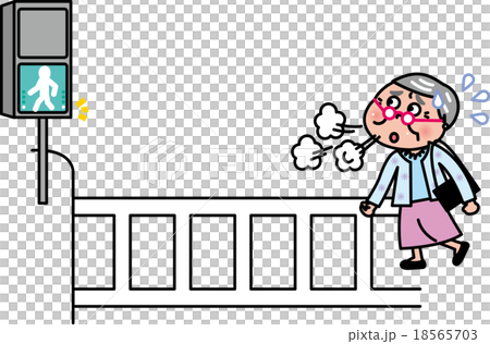 シニア　信号　横断歩道　わたれない 18565703