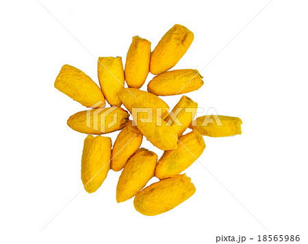 Close up silkworm cocoon isolate on white background. Close up silkworm cocoon isolate on white background. 18565986