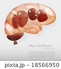 Creative brain Idea concept background 18566950