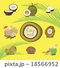Set of Products of Coconut Tropical Fruit  18566952