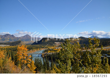 ユーコン川となりベーリング海にそそぐネナナ川の紅葉 ユーコン川となりベーリング海にそそぐネナナ川の紅葉 18567293