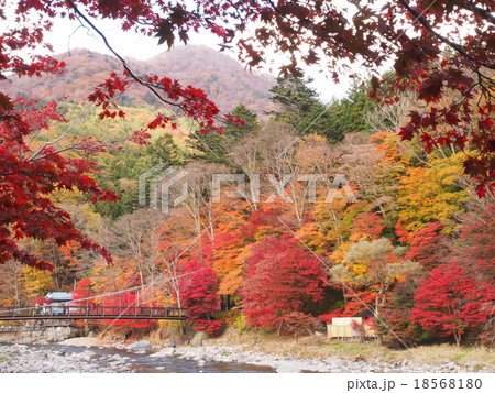 秋の塩原渓谷 18568180