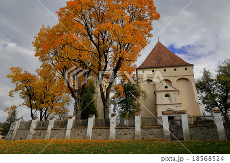 サスキズ サスキズ 18568524