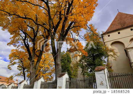 サスキズ サスキズ 18568526