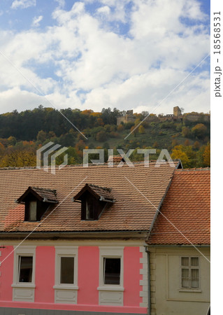 サスキズ 18568531