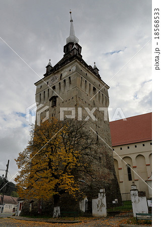 サスキズ サスキズ 18568533