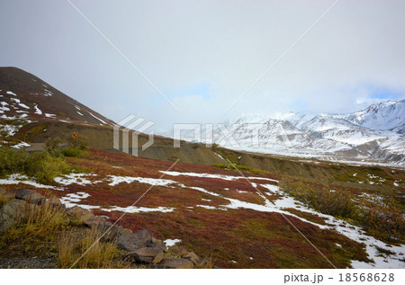 赤く色付いたベリーのツンドラに初雪が残るデナリ国立公園のアイルソン・ビジターセンター 18568628