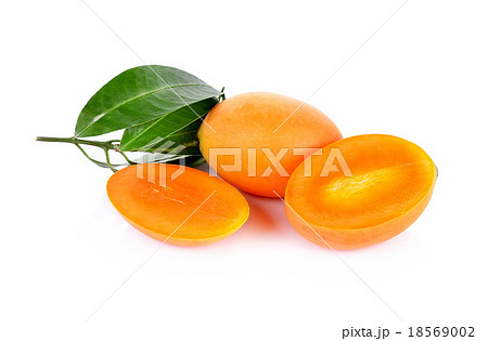 Marian plum fruit isolate on white background Marian plum fruit isolate on white background 18569002