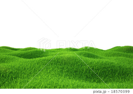 Green grass field 18570399