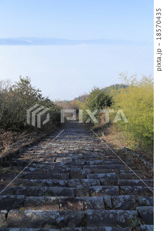 観音寺市 稲積大社 高屋神社・本宮から、霧に覆われた観音寺市街と燧灘方向をみる 18570435