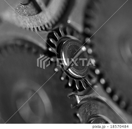Metal gear wheel,black-and-white. Macro . 18570484