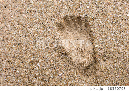 Footprint Footprint 18570793