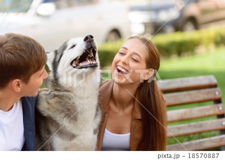 Nice girl playing with dog  18570887