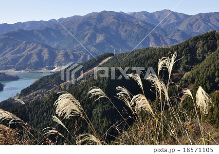 丹沢の山並みとススキ 18571105