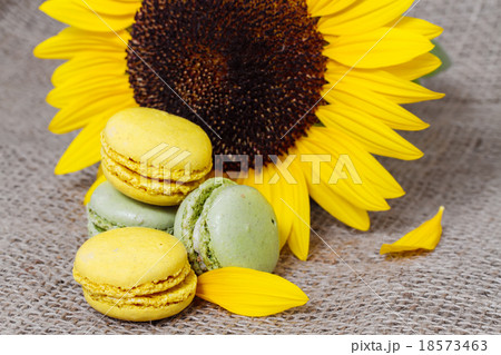 French macarons with yellow sunflowers on the background of a sa 18573463