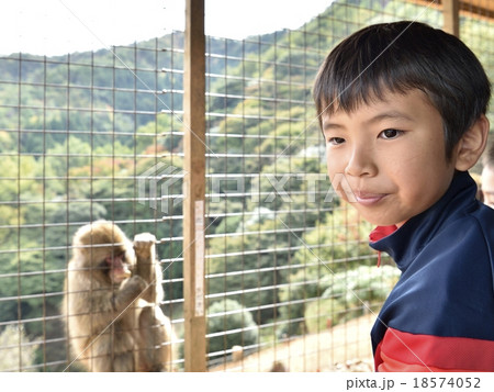 嵐山モンキーパーク 嵐山モンキーパーク 18574052