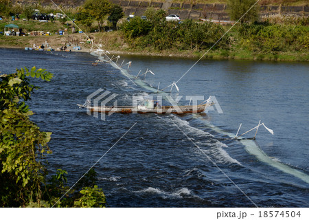 瀬張り網漁 岐阜 長良川 の写真素材