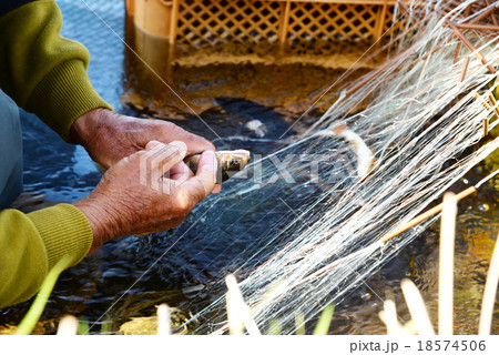 瀬張り網漁　岐阜　長良川　鮎　鮎漁　漁師 18574506