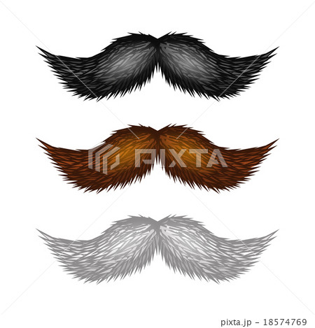 Brown, Black and White Isolated Mustaches Set 18574769