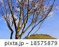 亀塚古墳 18575879