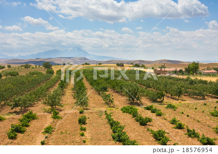Landscape, Turkey Landscape, Turkey 18576954