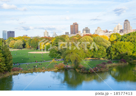 Oval lawn in Central park 18577413