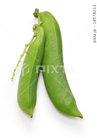 ナタマメ ナタマメ 18578213