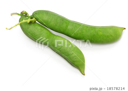 ナタマメ 18578214