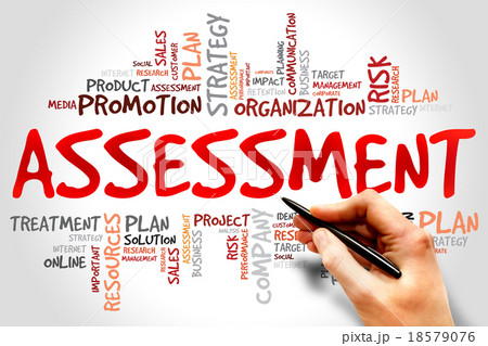 Assessment 18579076