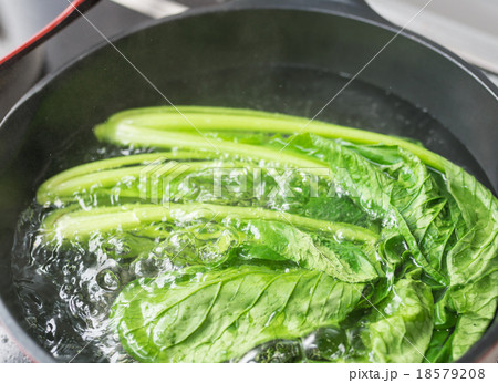 小松菜を茹でる 小松菜を茹でる 18579208