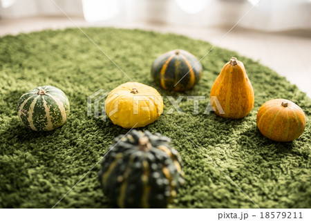 おもちゃ南瓜 18579211