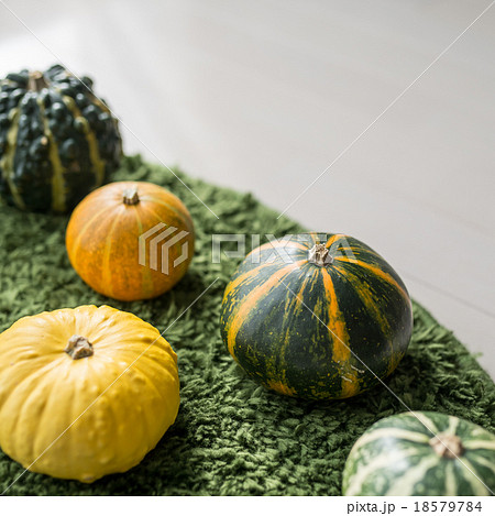 おもちゃ南瓜 おもちゃ南瓜 18579784