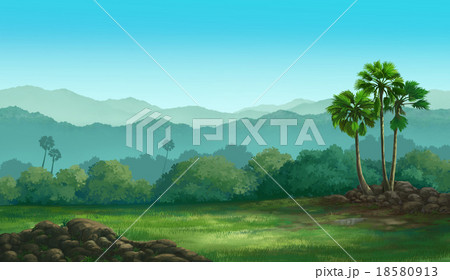 View Palmyra palm 18580913