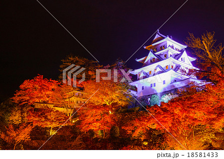 郡上八幡城の紅葉ライトアップの写真素材