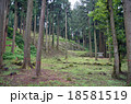 七尾城石垣 18581519