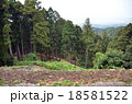 七尾城古道 18581522