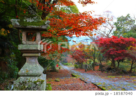 英彦山の紅葉（福岡県添田町） 18587040