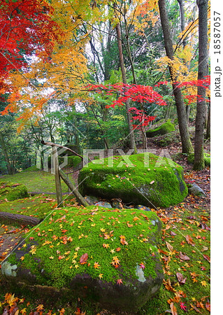 龍門峡の紅葉（福岡県添田町） 18587057