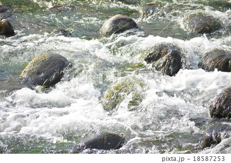 鮭の遡上 18587253